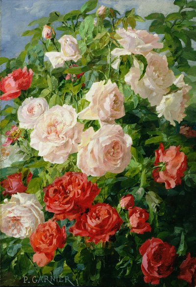 Pink Roses by Pierre Garnier